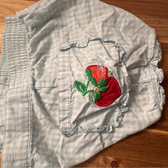 Gymboree Vintage 2006 Strawberry Gingham Shorts Blue White 4T 240258447 - Picture 5 of 5